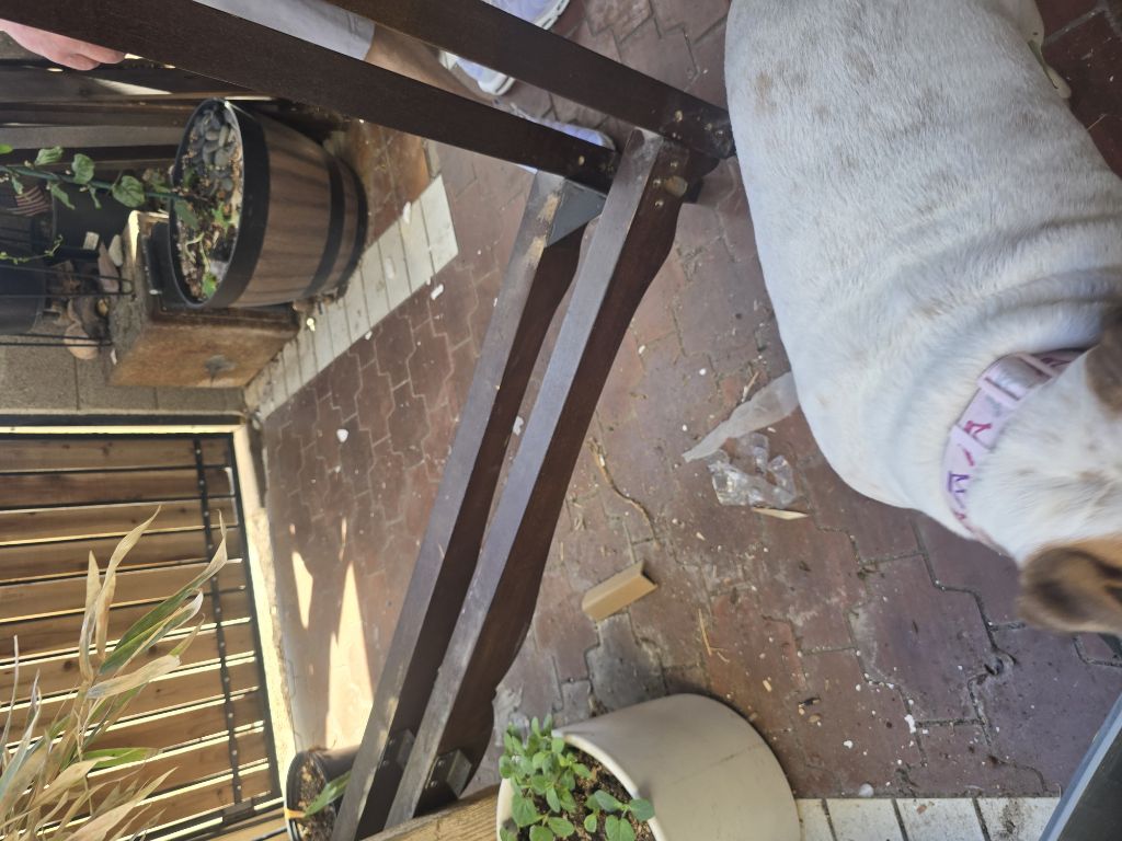 Free 4 poster bed frame