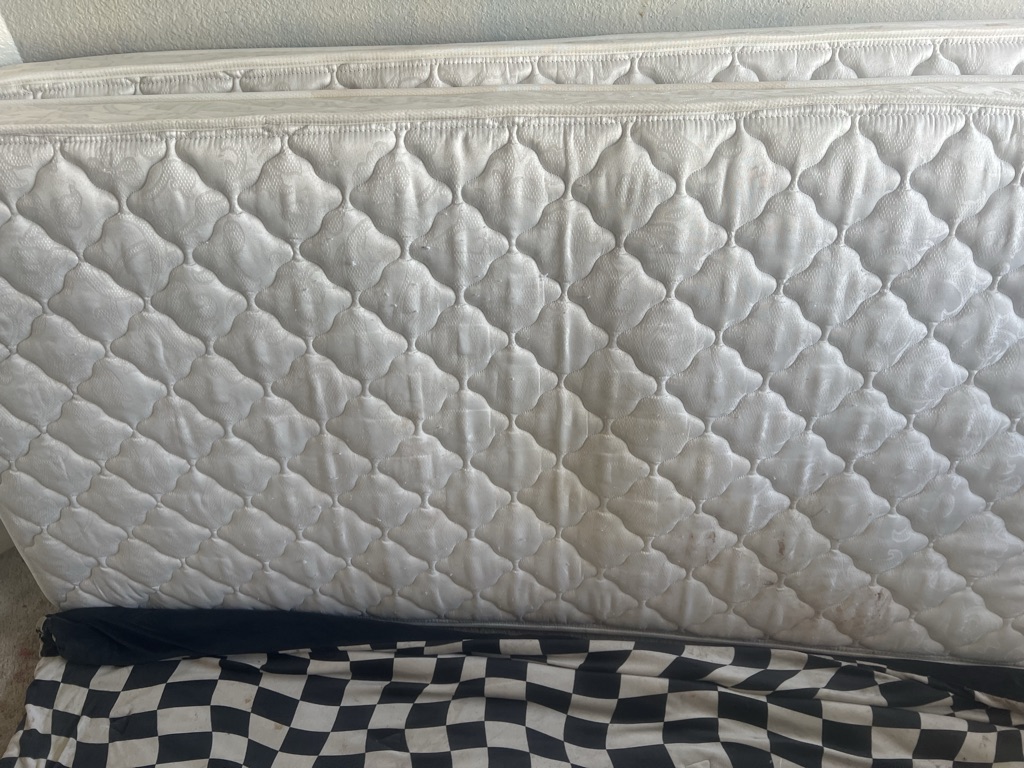 Free Two twin mattresses