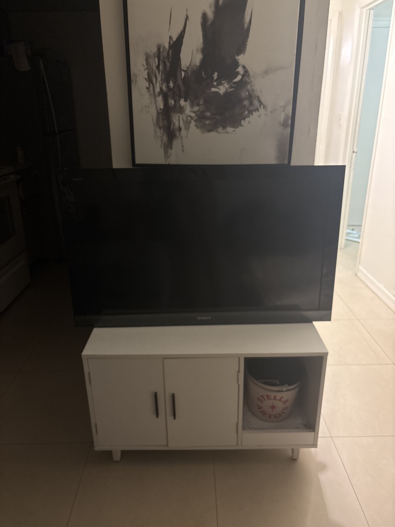 Free I dropped tv so the screen isn’t working