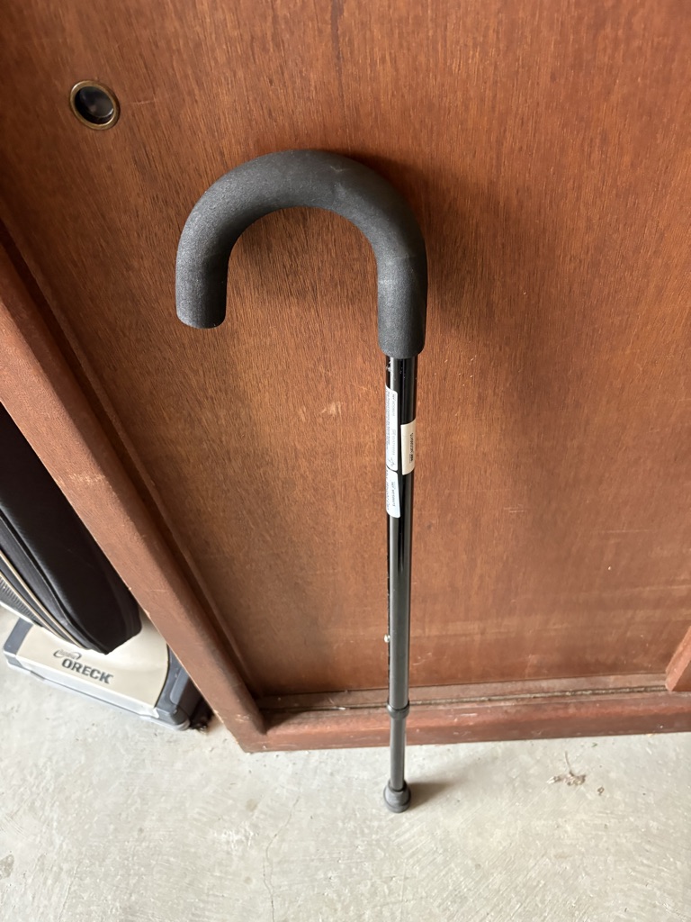 Free Cane