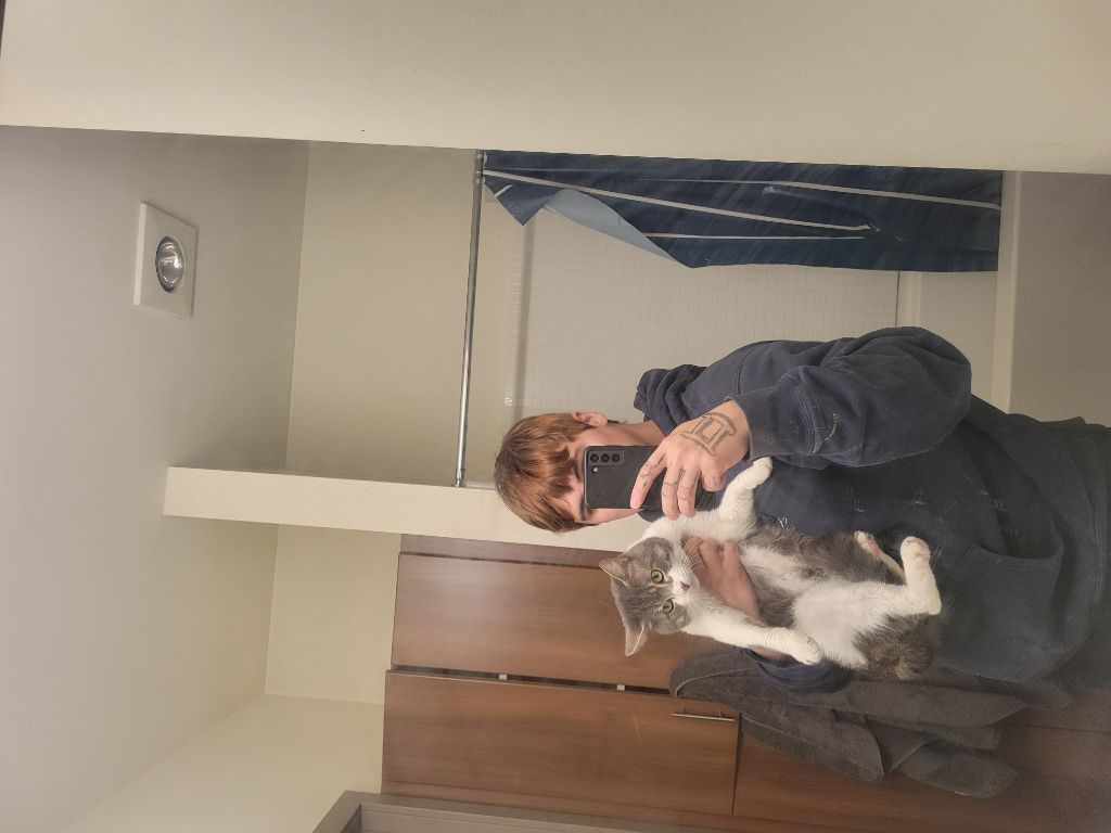 Free cat to good home