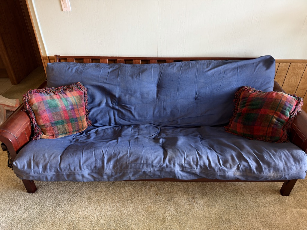 Free Wooden Futon Sofa with Cushions