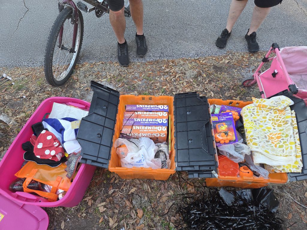 Free Halloween bins.