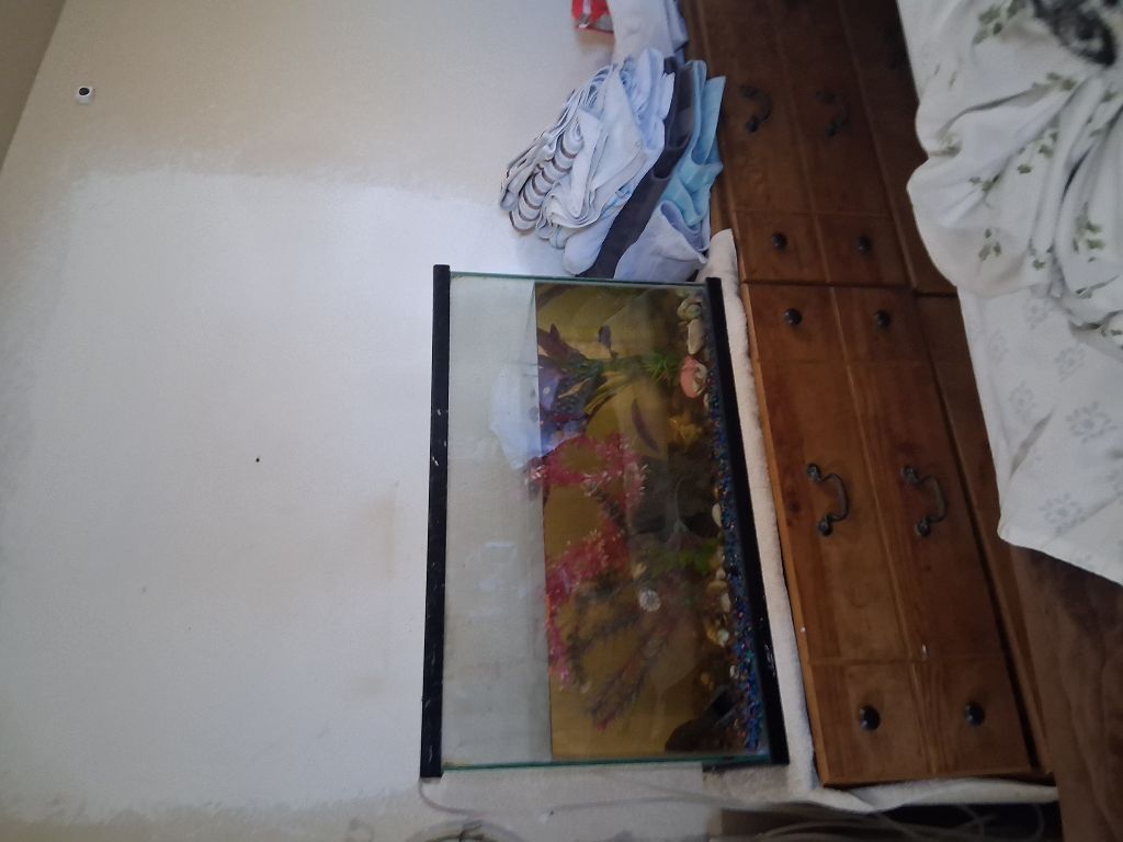 Free Still have tank,dude just took fish??