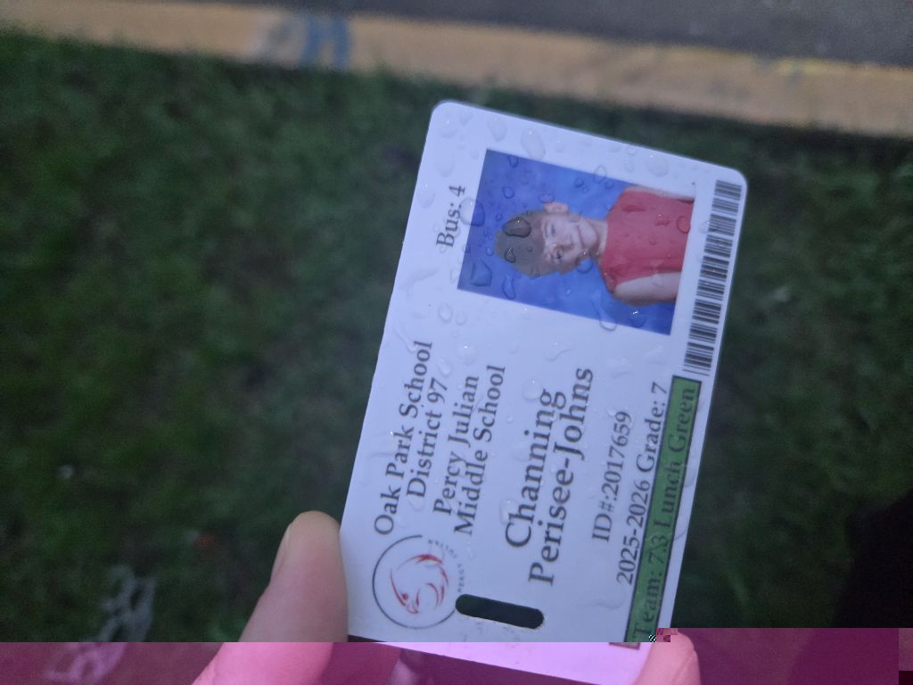 Free Childs lost school ID