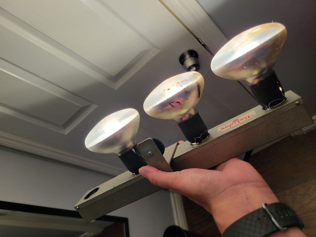 Free Haliday Photo And Movie Flood Light Photography Lights