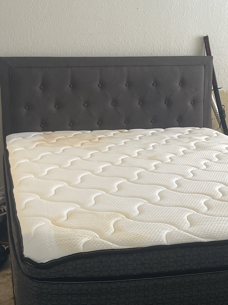 Free Queen bed and frame