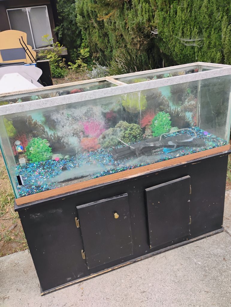 Free Large Fish Tank (Available till 7/31)