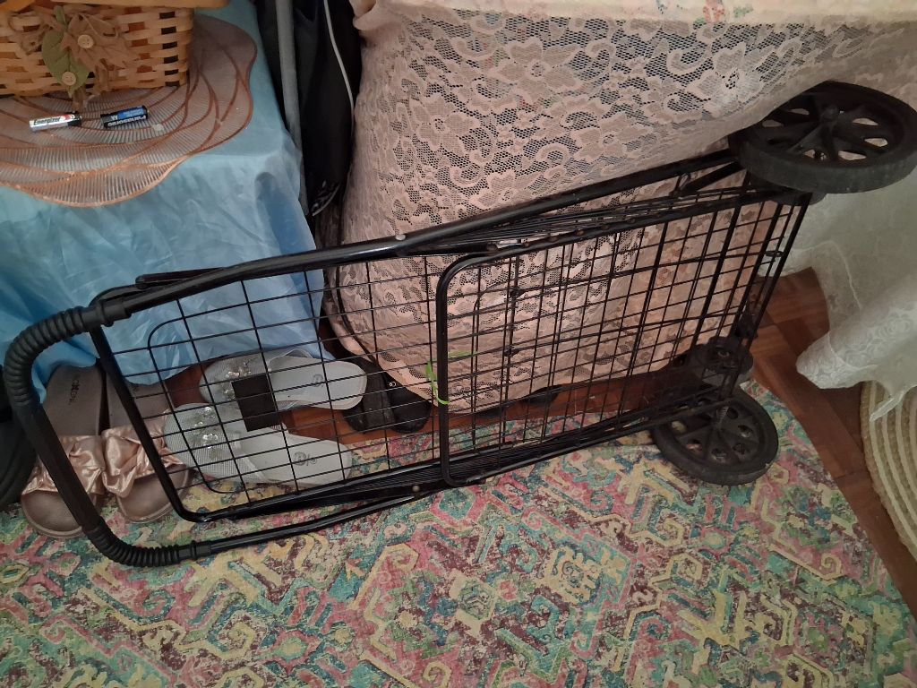 Free Large shopping cart