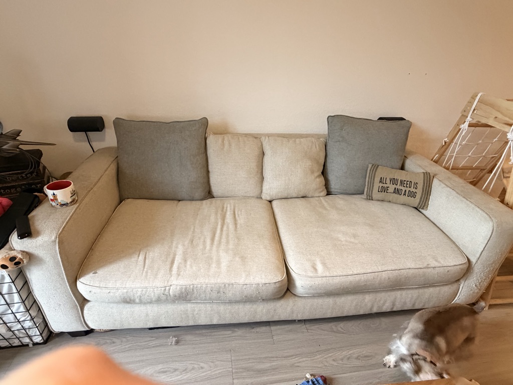 Free sofa