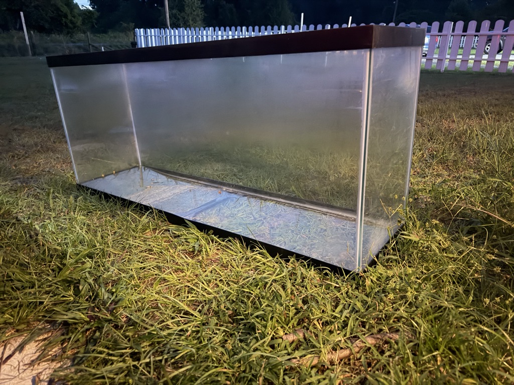 Free Reptile tank