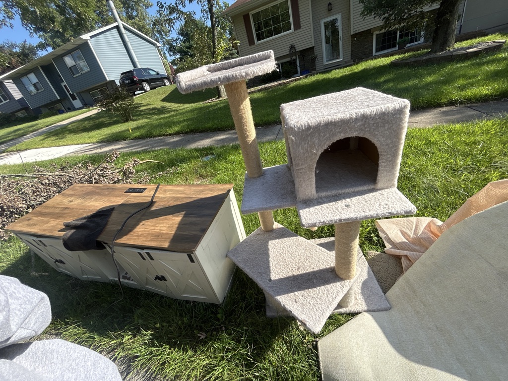 Free hidden cat litter box thing