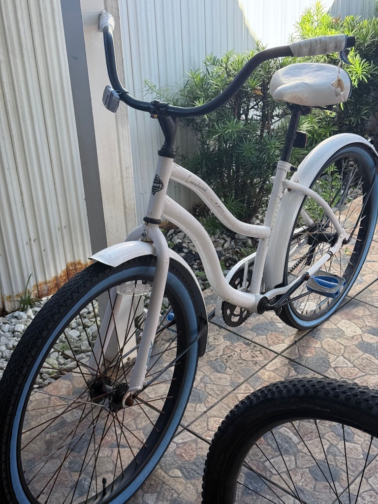 Free bicycle