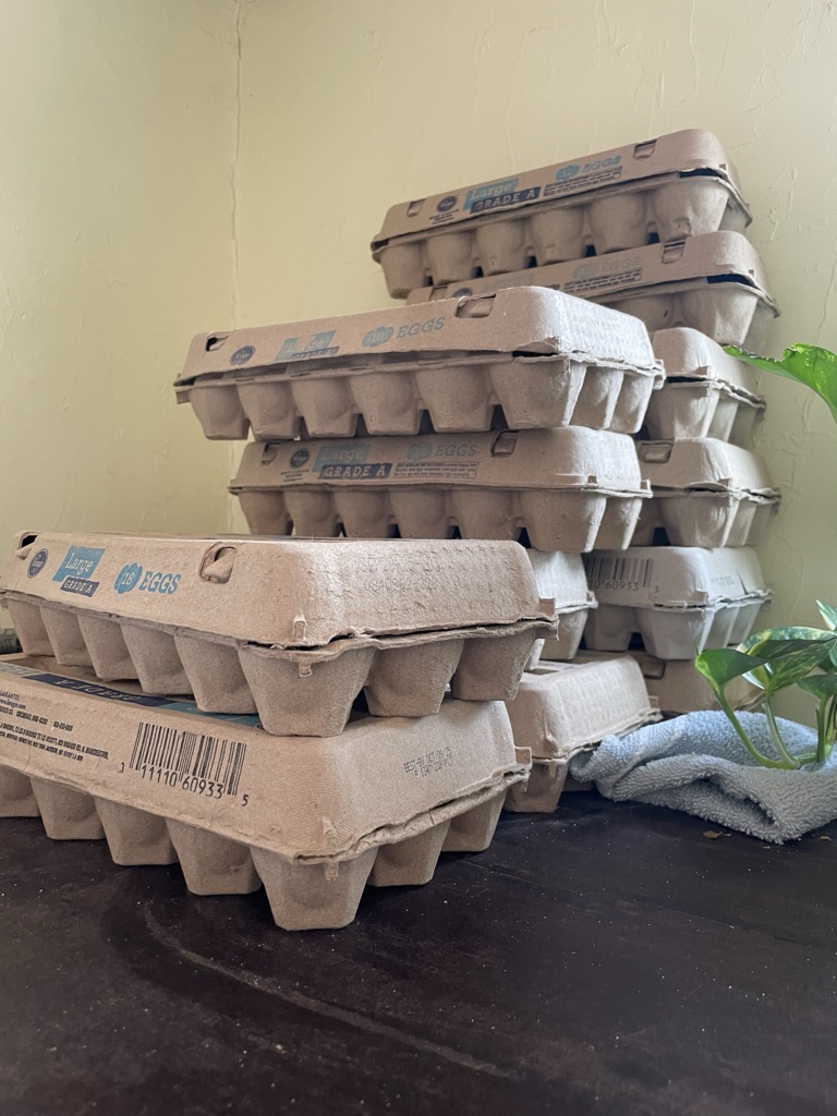Free Egg cartons