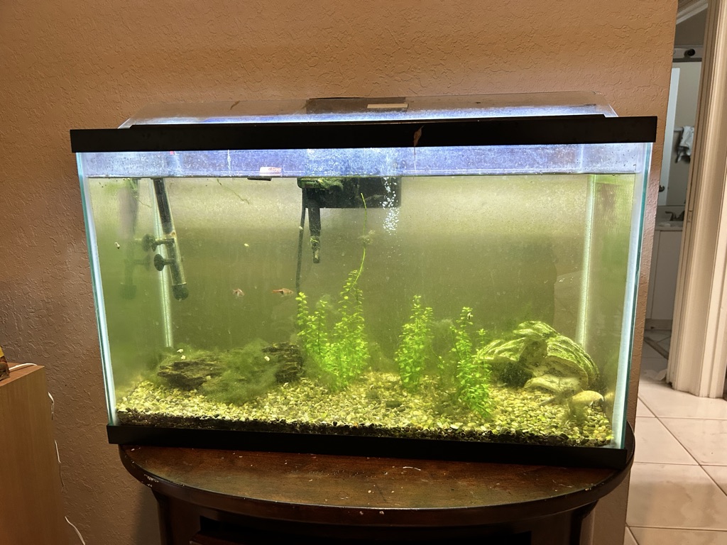 Free Fish Tank