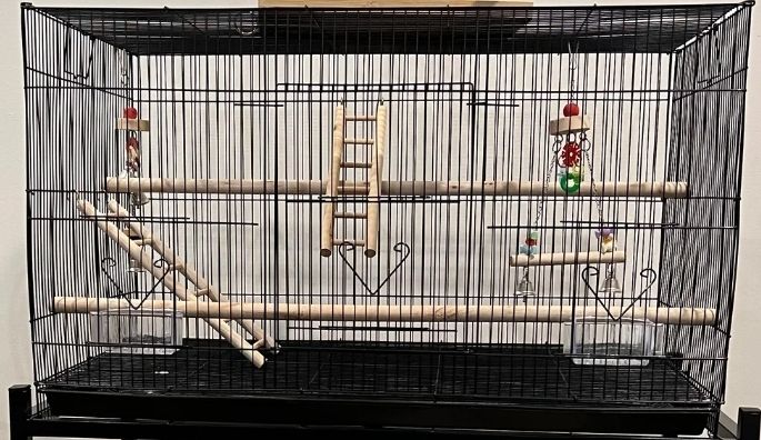 FREE Bird Cage