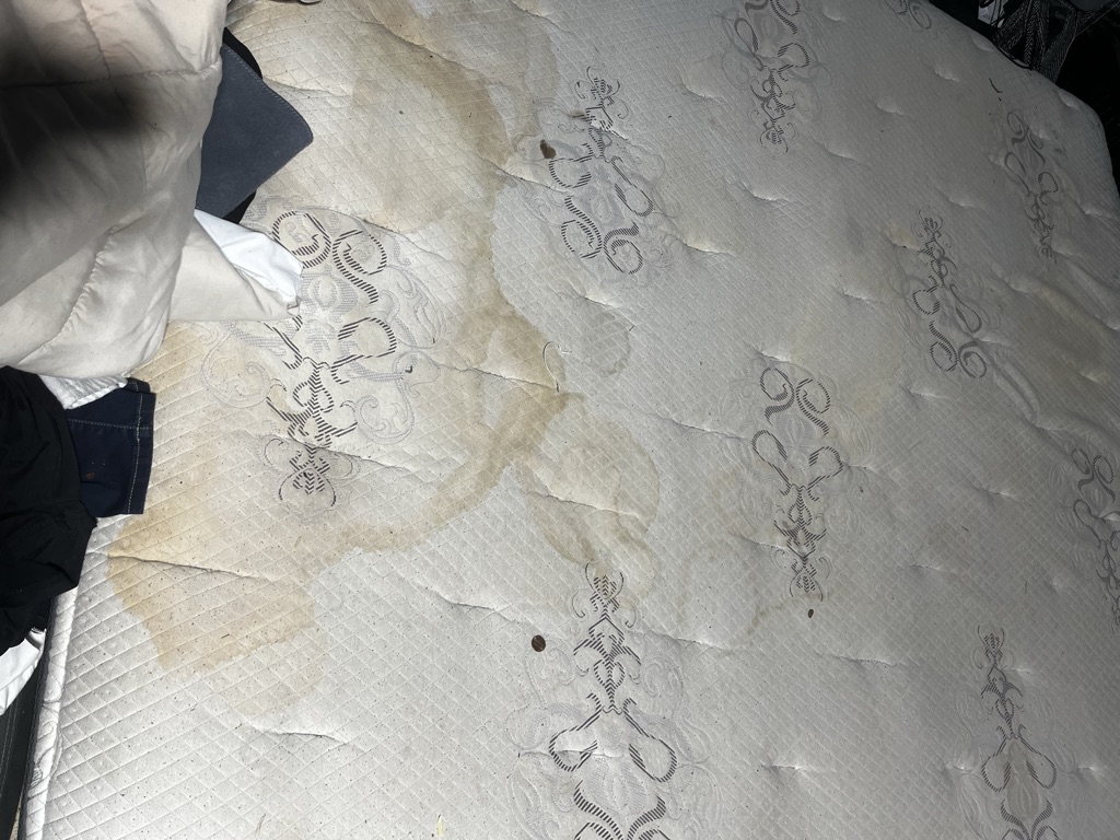 Free king size mattress