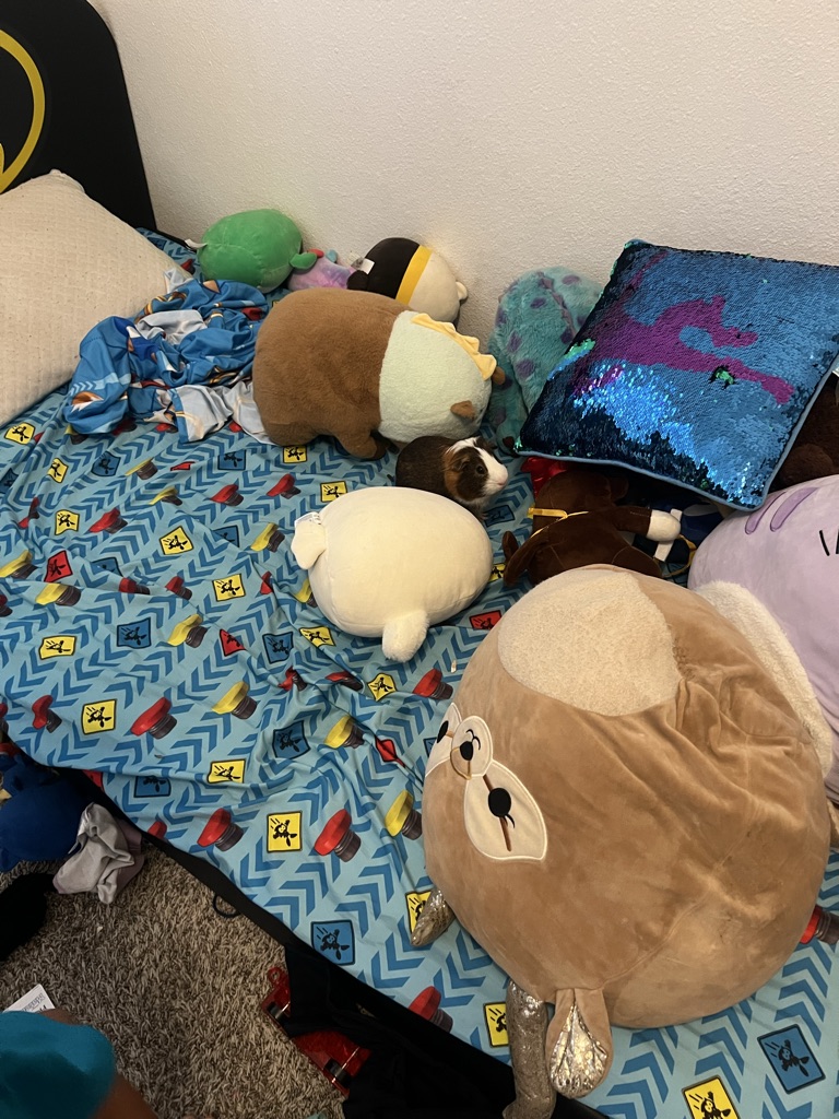 Free 2 batman bed bases