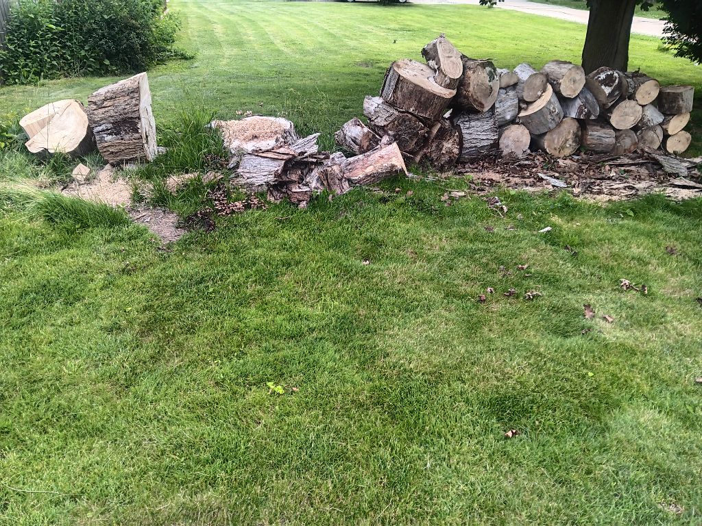 Free firewood.