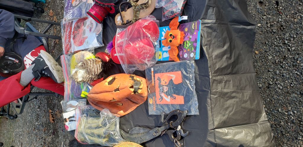 Free Halloween costumes