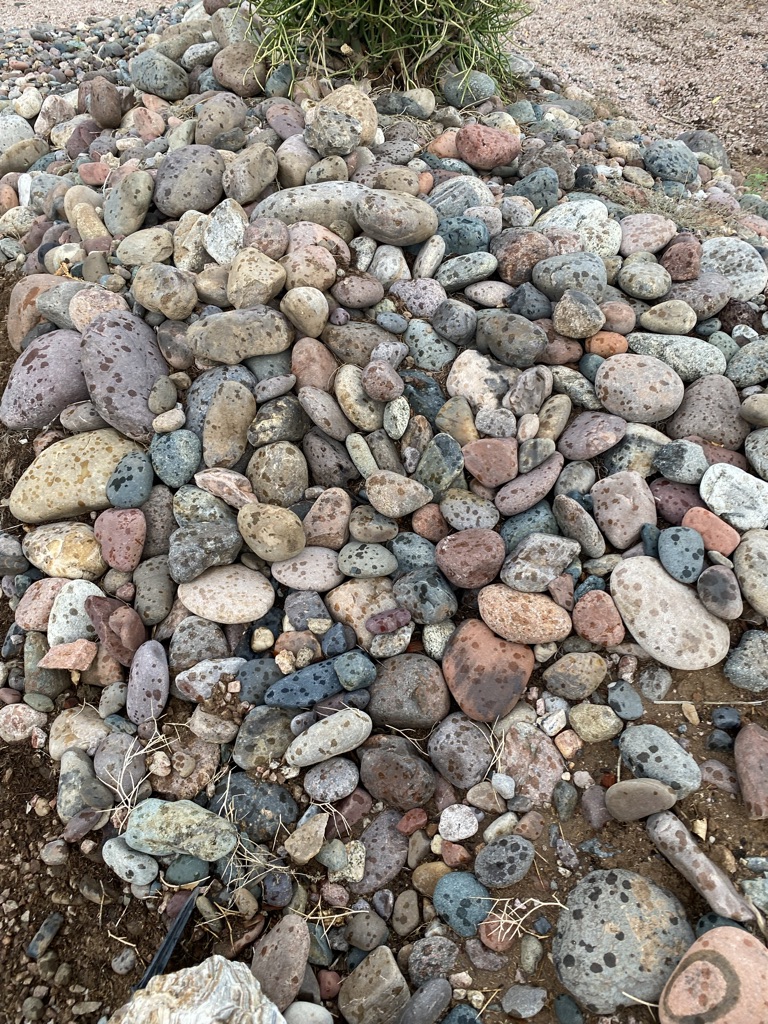 Free river rocks