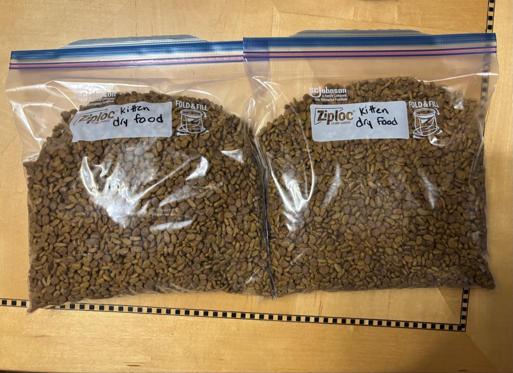 Free Kitten dry food