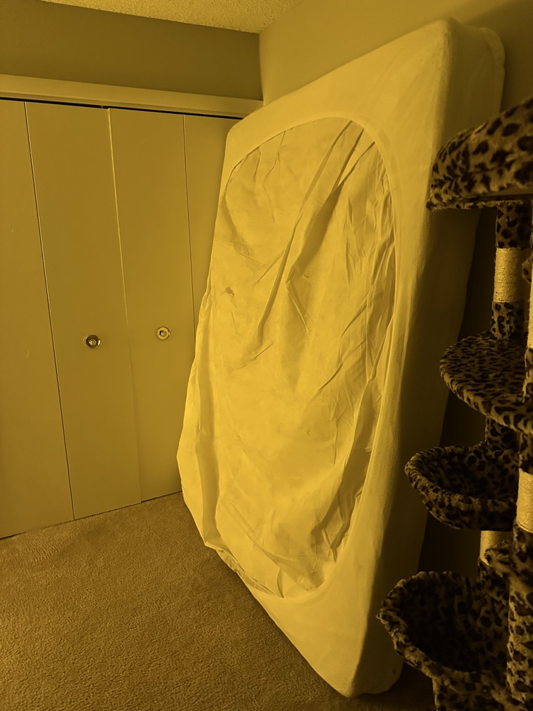 Free Queen Mattress