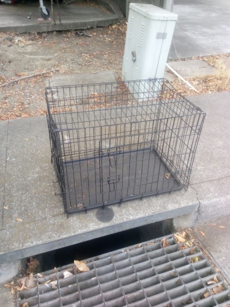 Free lrg animal cage driveway of 249 Lexington dr