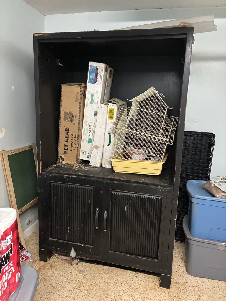 Free Tv/Armoir