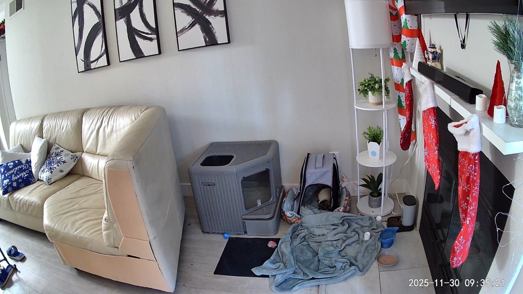 Free Sandbox  for cat