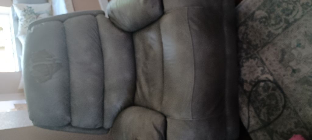Free Electric Recliner