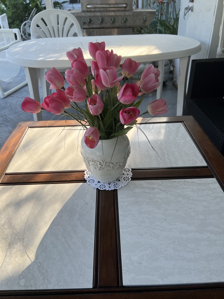 Free Living room table