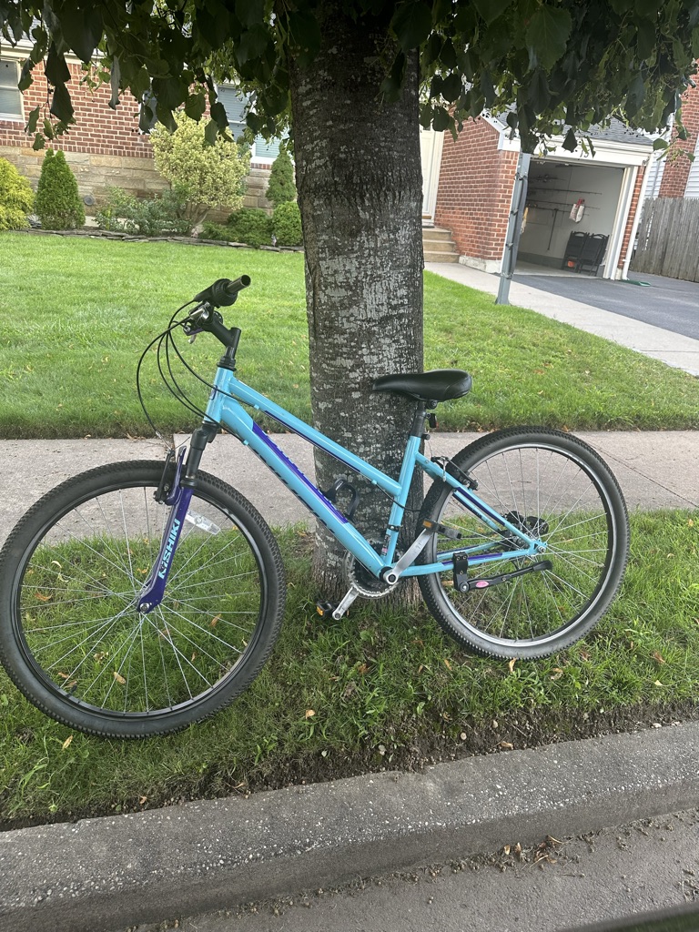 Free Curb alert - bike