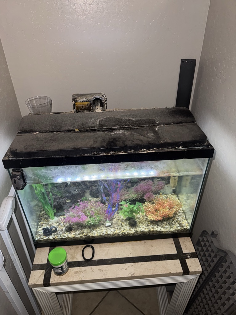 Free Fish tank