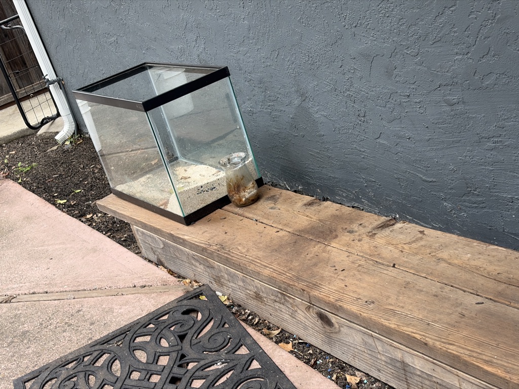 Free Aquarium 40 gal