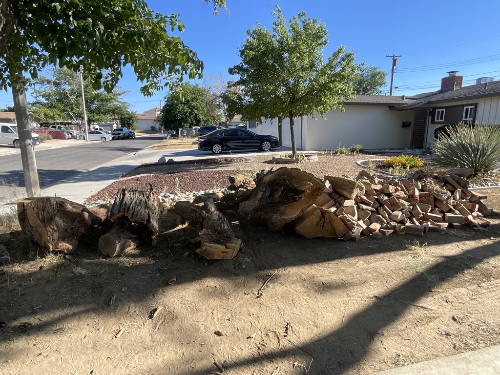 Free wood and bricks