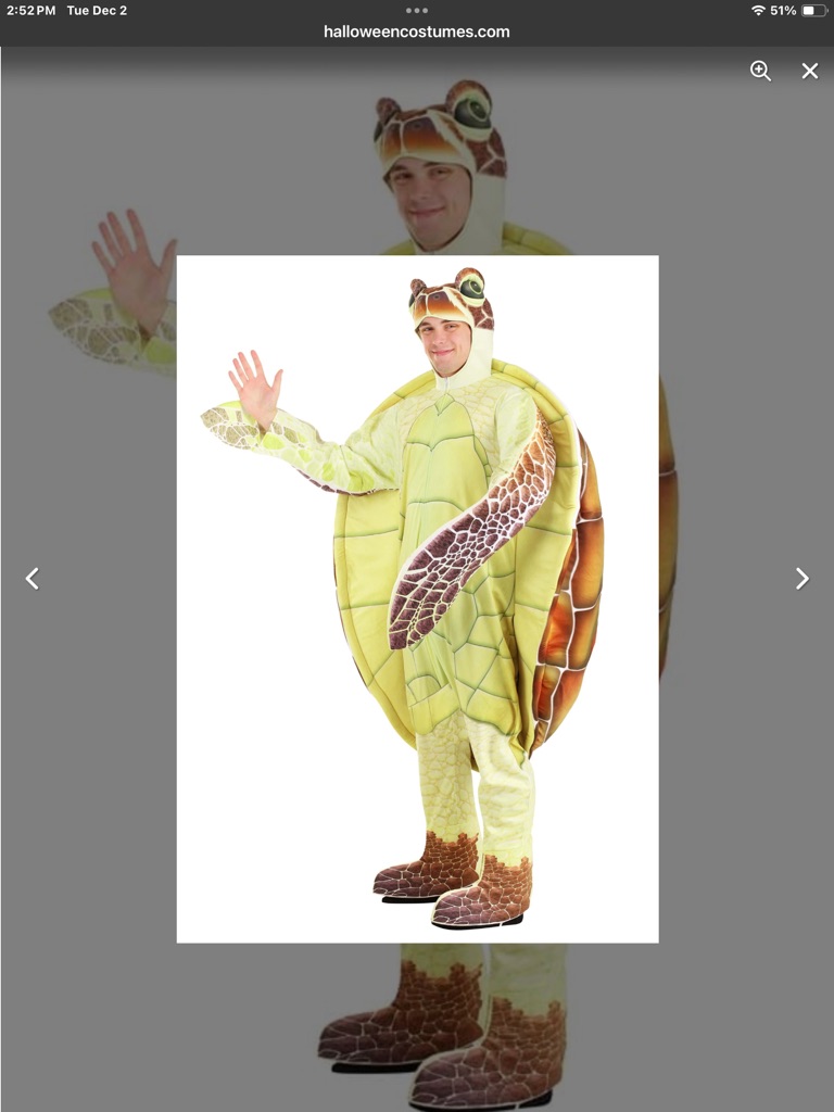 Free Halloween costumes turtle adult size large