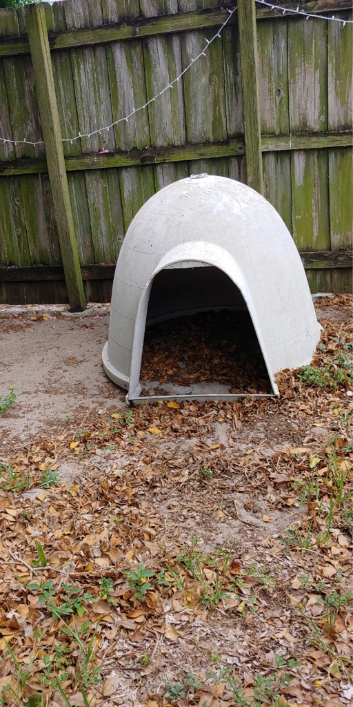 Free Igloo dog house