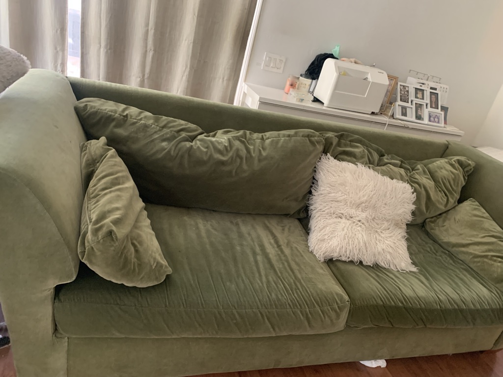 Free Soft Green Velvet Couch