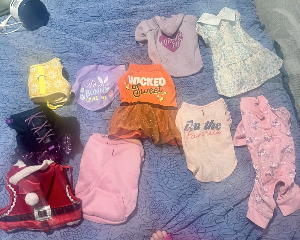 Free XXS Dog Clothes & Harnesses