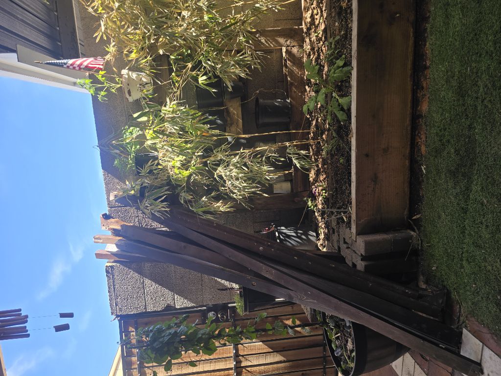 Free king 4 poster bed frame