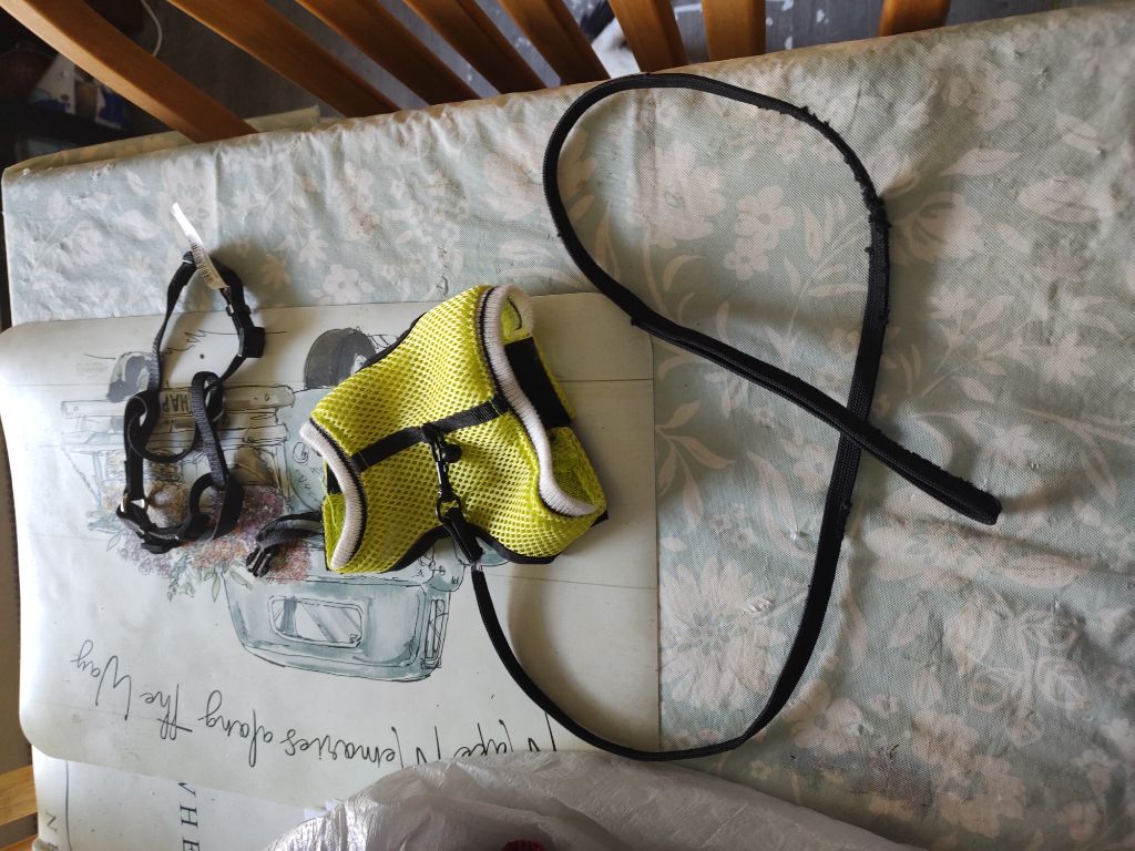 Free Small animal harness for ferret or similar size pet.