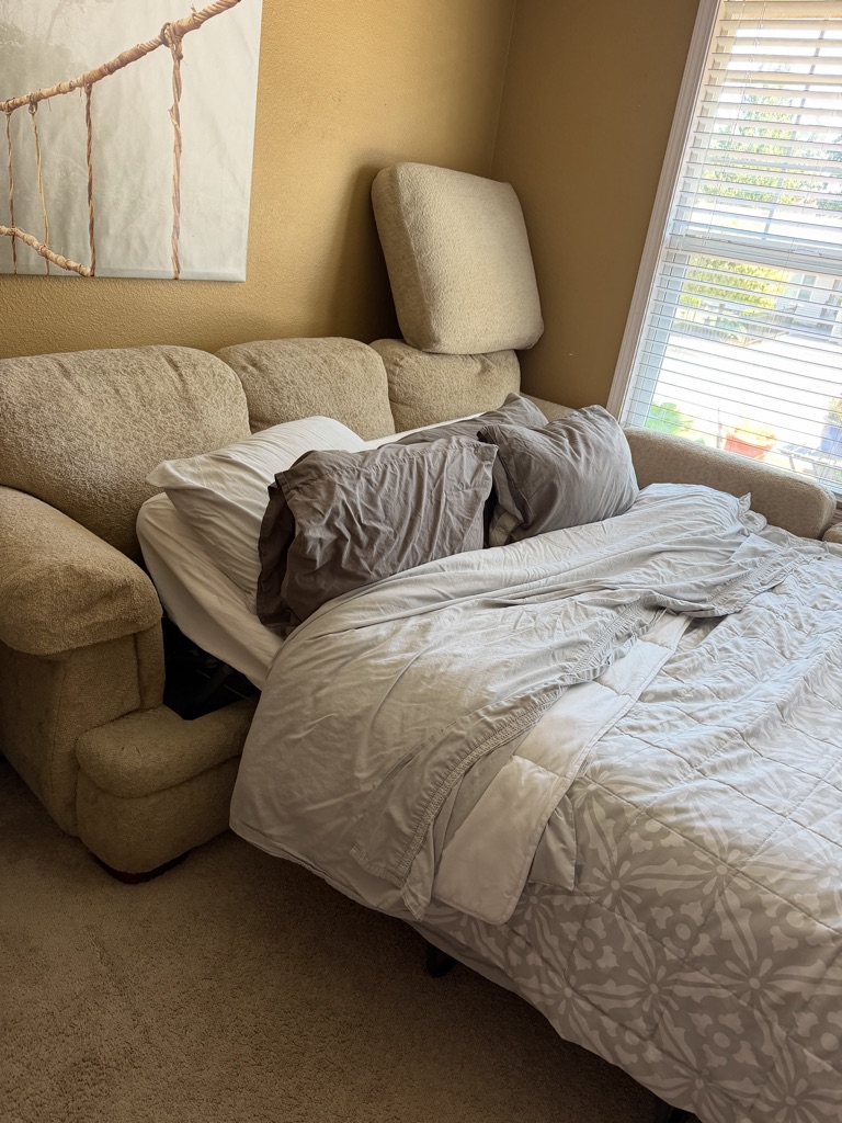 Free queen sized couch bed