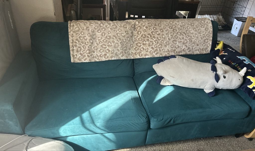 Free couch & foldable couch