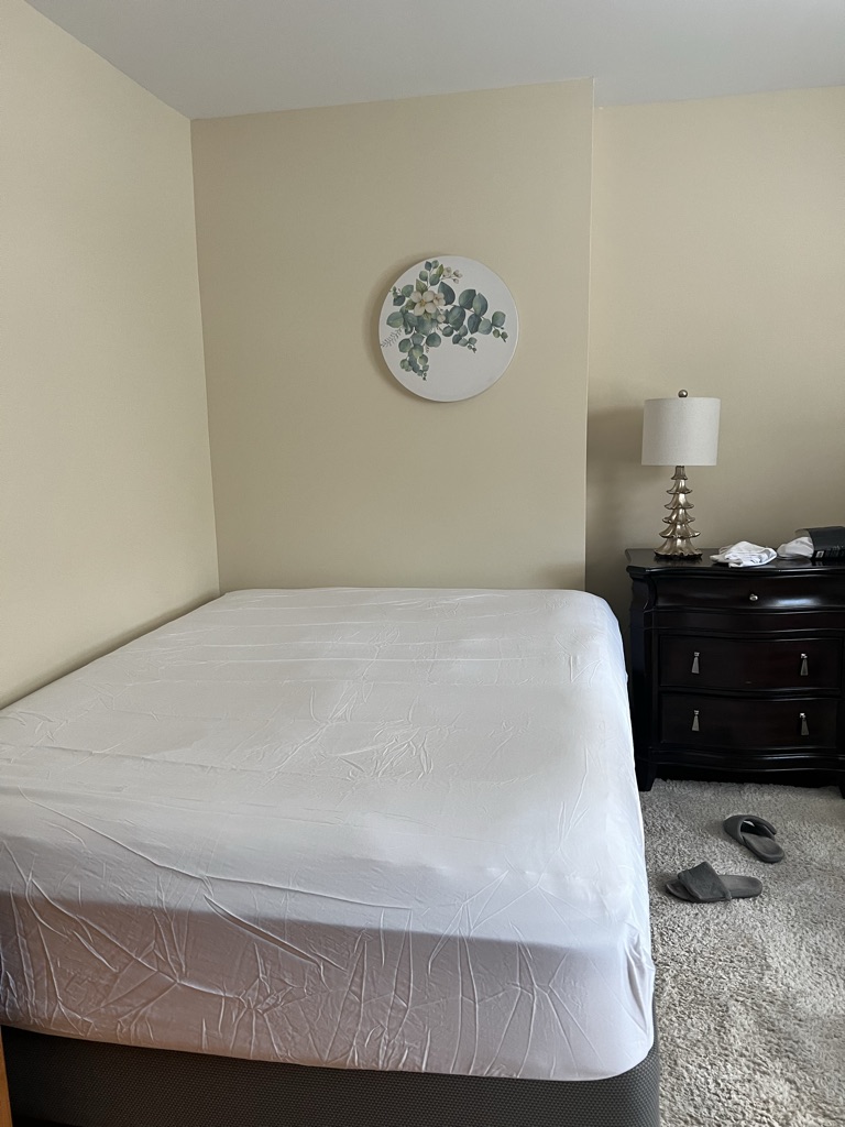 Free Mattresses and Boxsprings