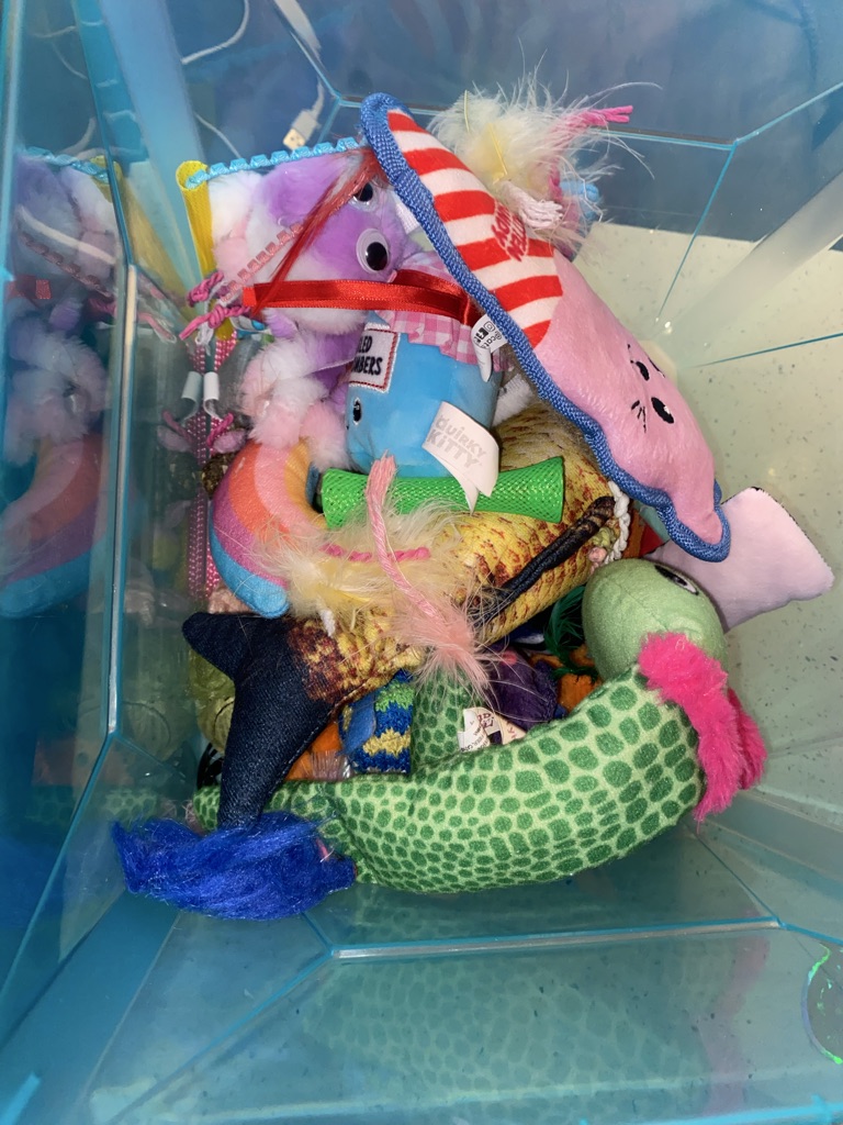 Free Bag of Cat Toys