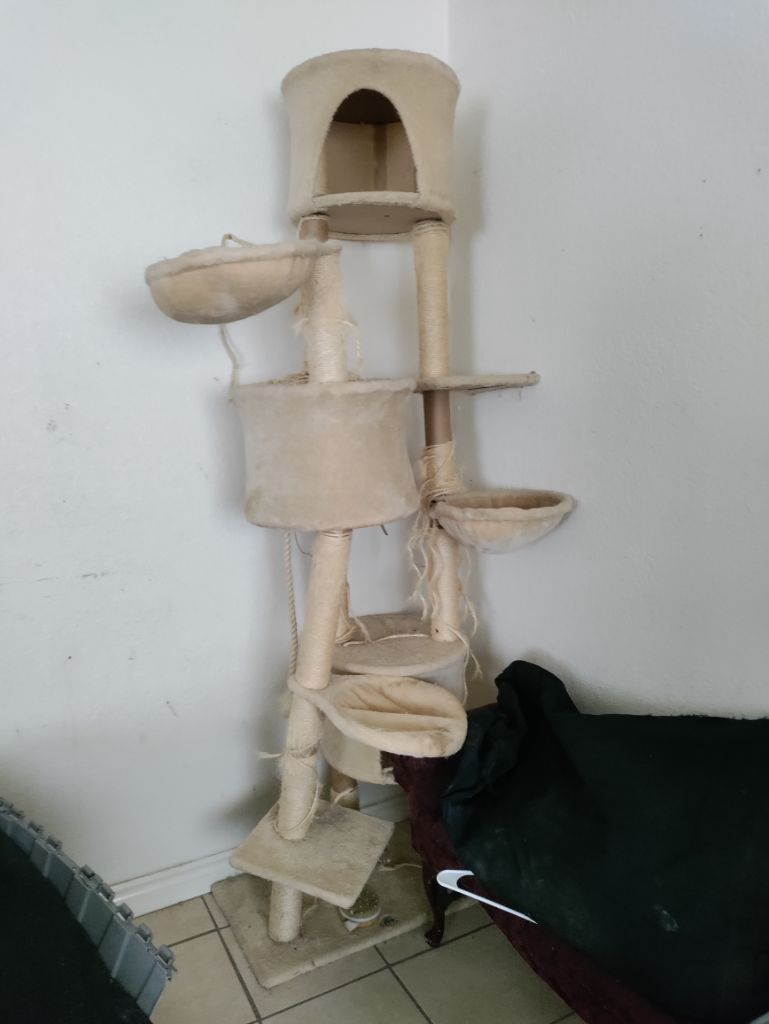 Free Cat tree