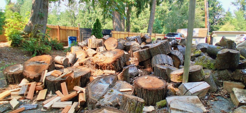 Free firewood