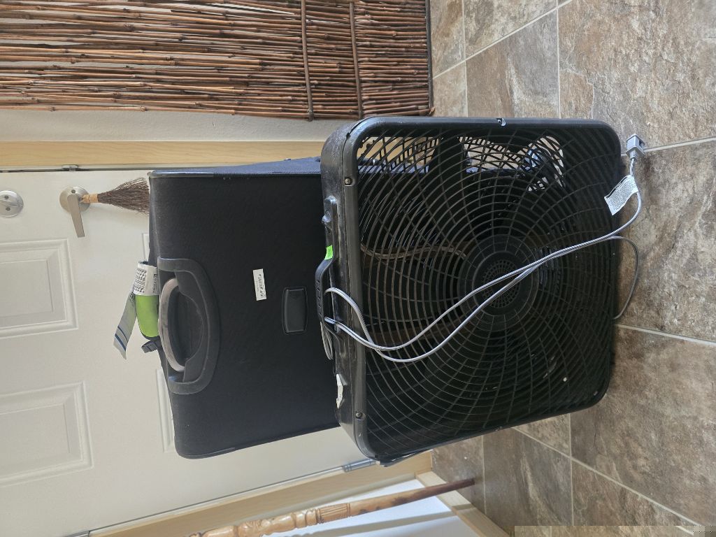 Free Fre fan and suitcase