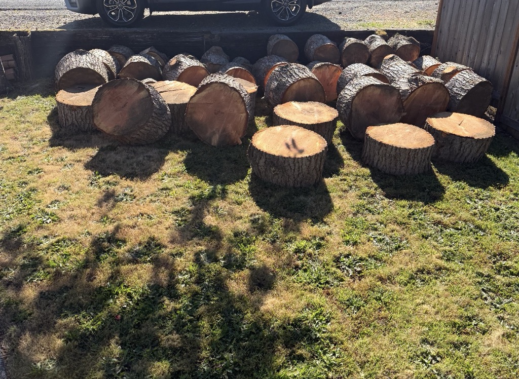 Free wood